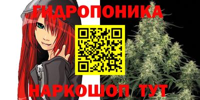 крисы Славгород