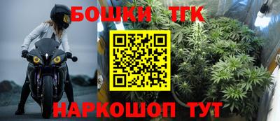 крисы Славгород