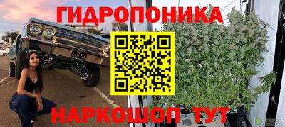 марихуана Северобайкальск
