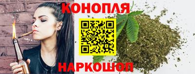 крисы Славгород