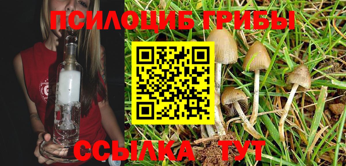 Галлюциногенные грибы GOLDEN TEACHER Майкоп