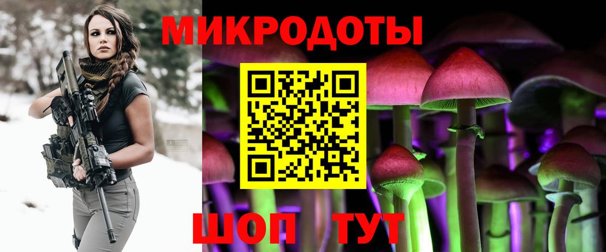 Майкоп  Галлюциногенные грибы Psilocybe  Вход с VPN 